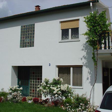 Apartments And Rooms Mirjana Bibinje Exteriér fotografie