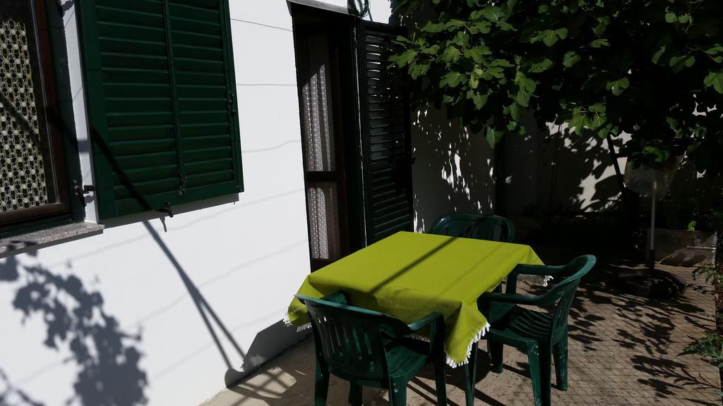 Apartments And Rooms Mirjana Bibinje Pokoj fotografie